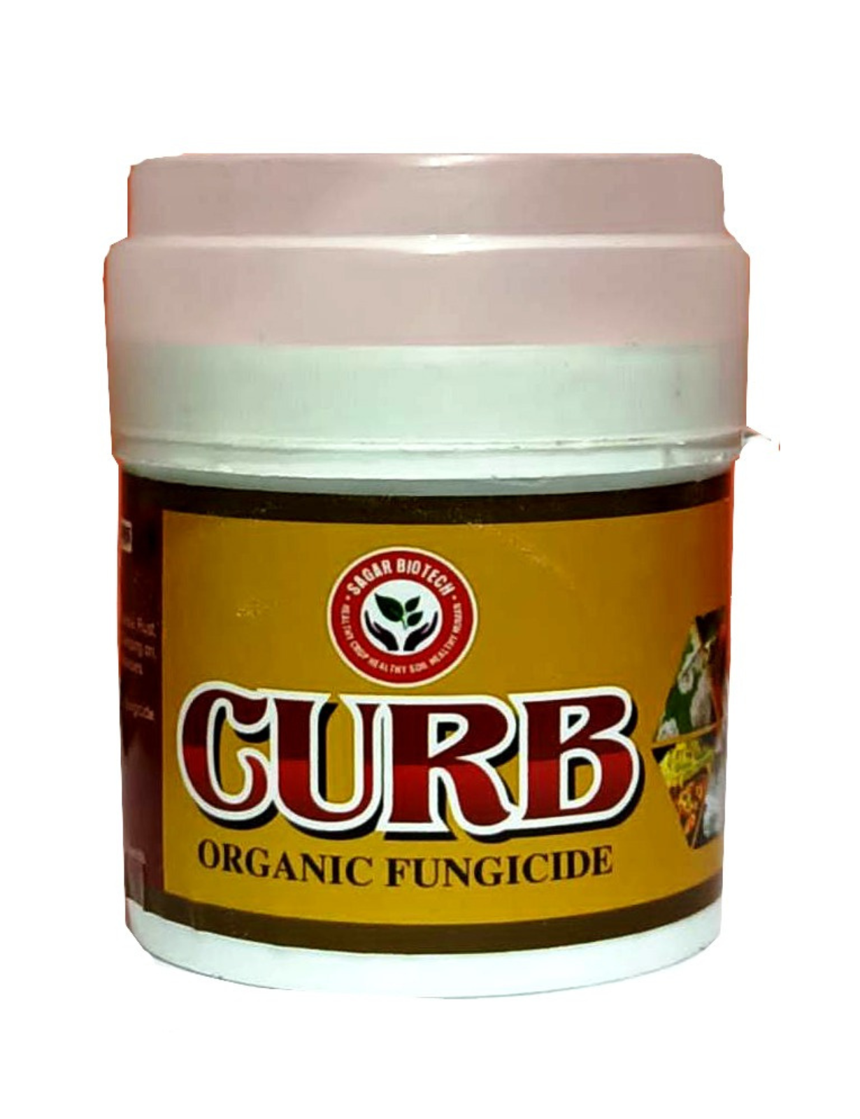 Untitled design (21)