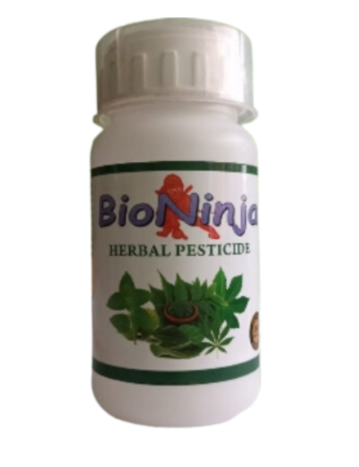 Untitled design (23)